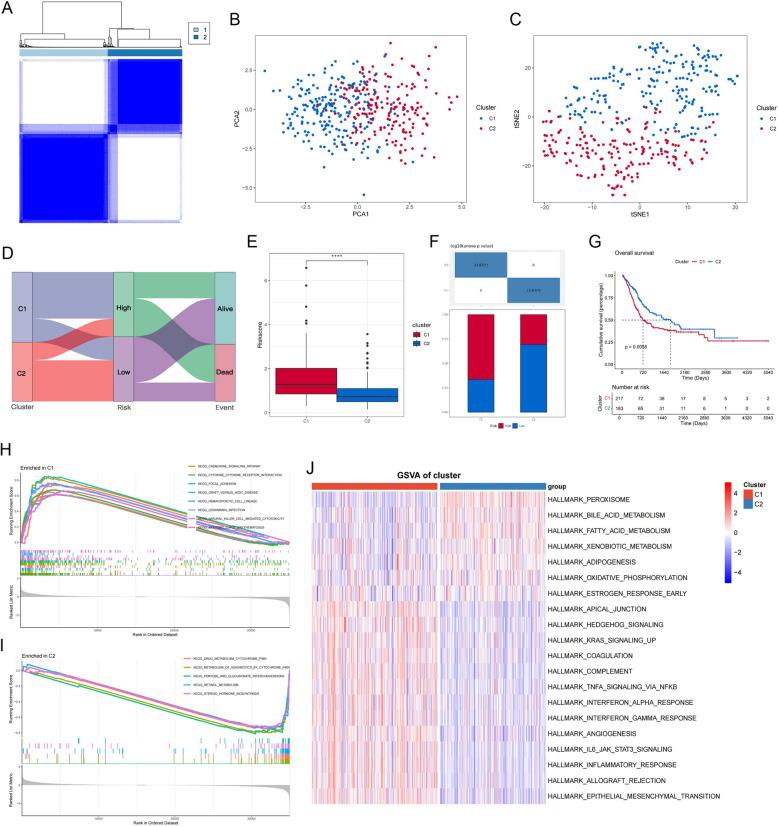 https://cdn.ncbi.nlm.nih.gov/pmc/blobs/7e53/11921678/dd395a66472a/41065_2025_409_Fig9_HTML.jpg