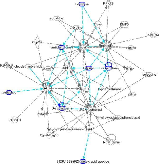 https://cdn.ncbi.nlm.nih.gov/pmc/blobs/7e56/6504884/a381101a9730/41598_2019_43537_Fig7_HTML.jpg