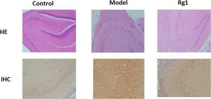 https://cdn.ncbi.nlm.nih.gov/pmc/blobs/7e56/6504884/aefa121c3021/41598_2019_43537_Fig1_HTML.jpg