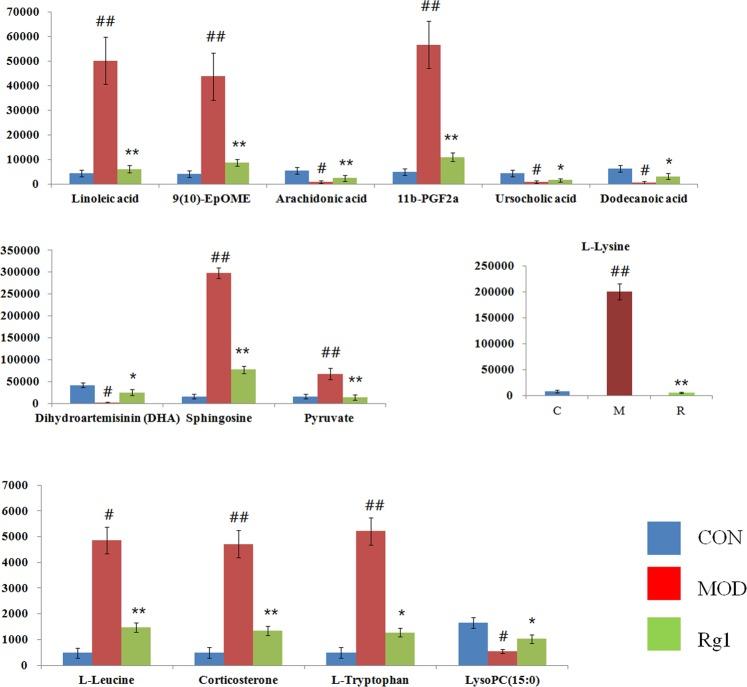 https://cdn.ncbi.nlm.nih.gov/pmc/blobs/7e56/6504884/cd0fa4f57e8b/41598_2019_43537_Fig5_HTML.jpg