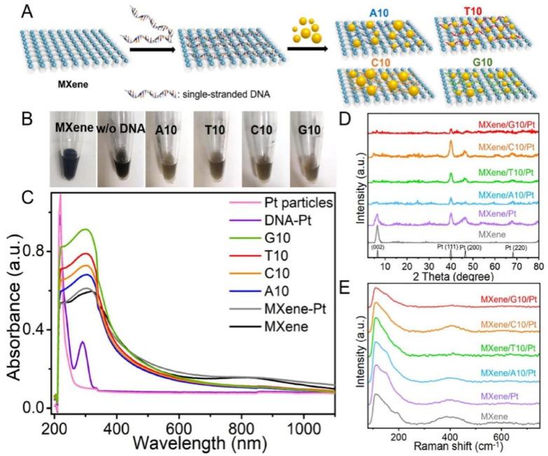 https://cdn.ncbi.nlm.nih.gov/pmc/blobs/7e56/9775463/c2efe7aa853b/biosensors-12-01072-g004.jpg