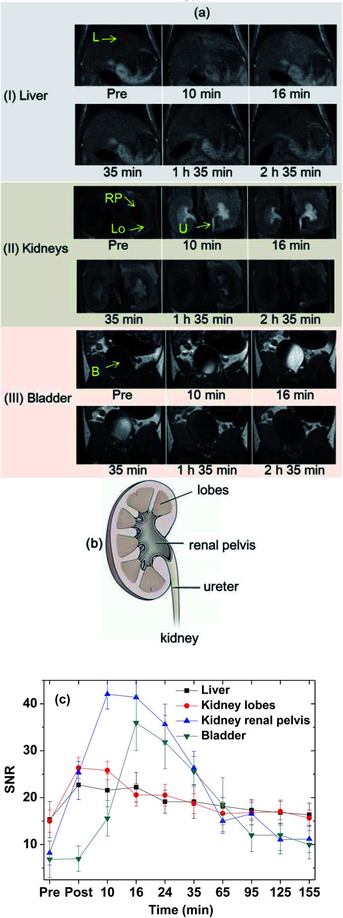 https://cdn.ncbi.nlm.nih.gov/pmc/blobs/7e57/9077528/6d76db461496/c7ra11830a-f9.jpg