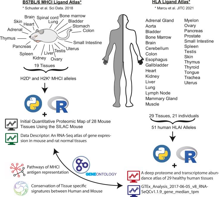 https://cdn.ncbi.nlm.nih.gov/pmc/blobs/7e59/8810409/d59981d935ad/gr1.jpg