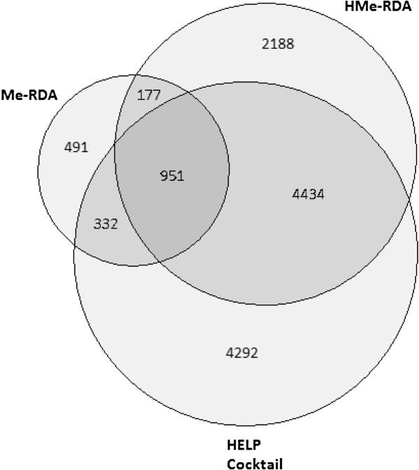 https://cdn.ncbi.nlm.nih.gov/pmc/blobs/7e5d/3689598/fbf5de1d27aa/1471-2164-14-406-5.jpg