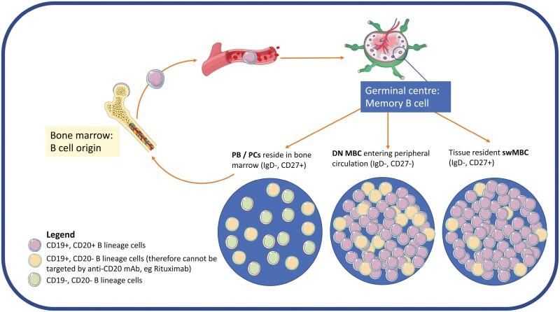 https://cdn.ncbi.nlm.nih.gov/pmc/blobs/7e5f/11188544/6363924dd72c/uxae031_fig3.jpg