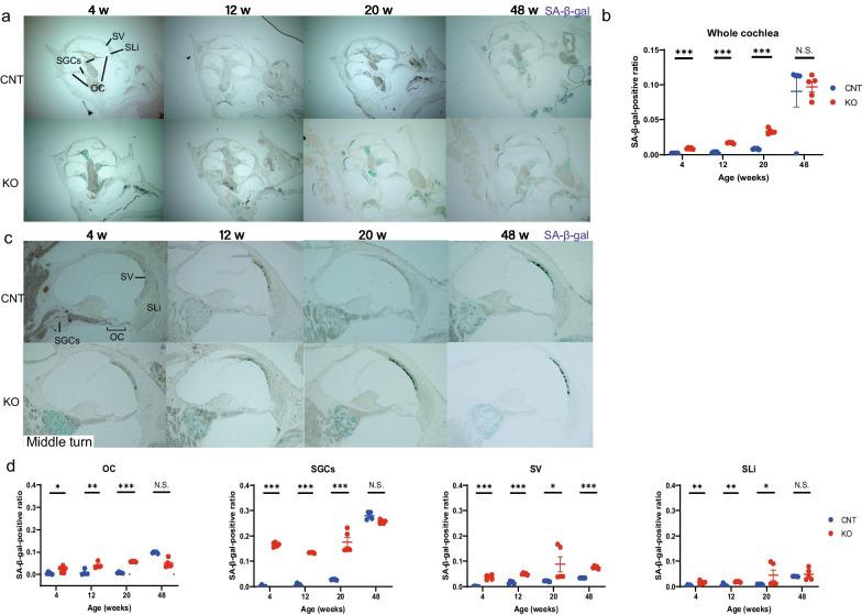 https://cdn.ncbi.nlm.nih.gov/pmc/blobs/7e61/8130336/69e623616663/13041_2021_791_Fig4_HTML.jpg