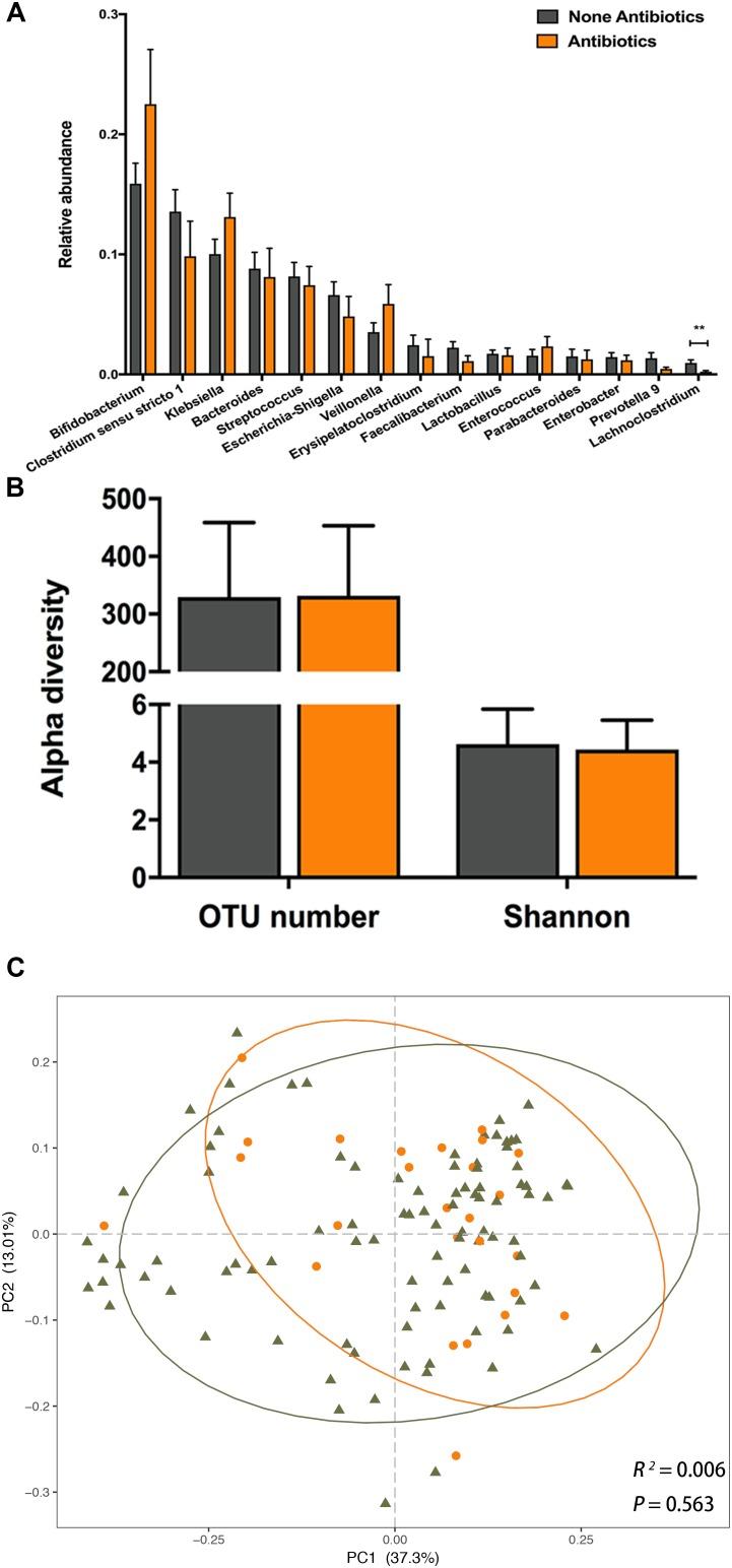 https://cdn.ncbi.nlm.nih.gov/pmc/blobs/7e62/6443713/6abc8a4dd430/fmicb-10-00598-g004.jpg