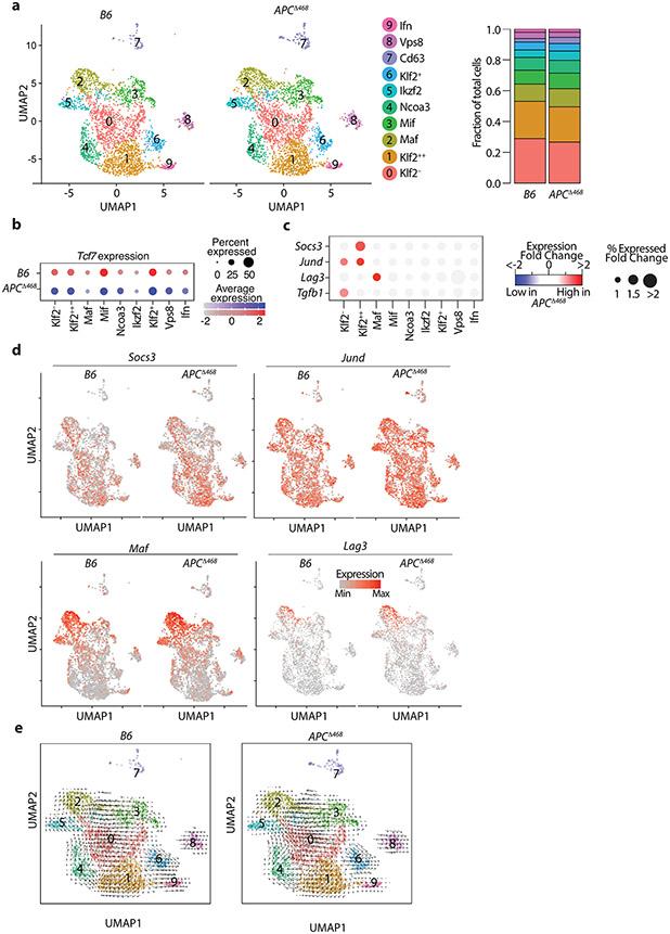 https://cdn.ncbi.nlm.nih.gov/pmc/blobs/7e63/8428683/1bd267387e99/nihms-1720163-f0014.jpg
