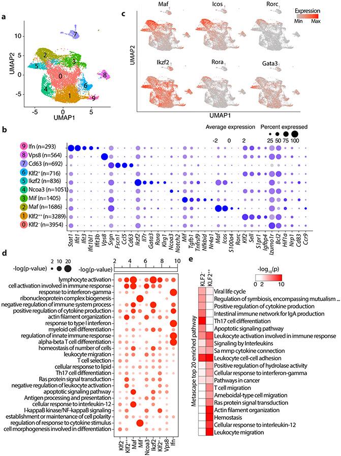 https://cdn.ncbi.nlm.nih.gov/pmc/blobs/7e63/8428683/45f75980d02d/nihms-1720163-f0003.jpg