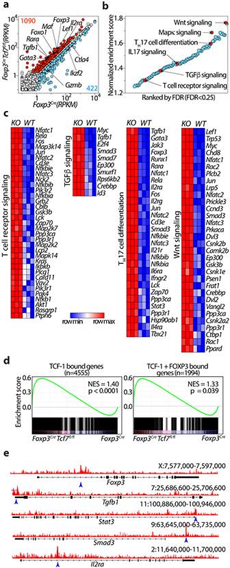 https://cdn.ncbi.nlm.nih.gov/pmc/blobs/7e63/8428683/5a20daaac9a4/nihms-1720163-f0001.jpg