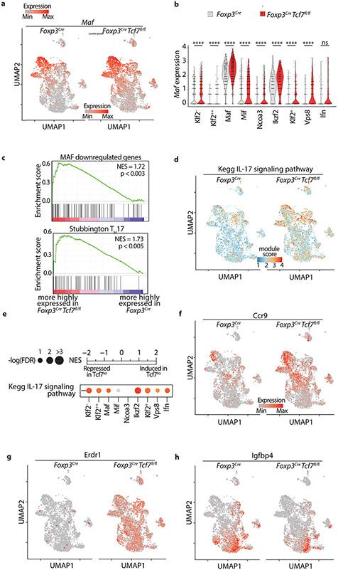 https://cdn.ncbi.nlm.nih.gov/pmc/blobs/7e63/8428683/acac977a8e17/nihms-1720163-f0013.jpg