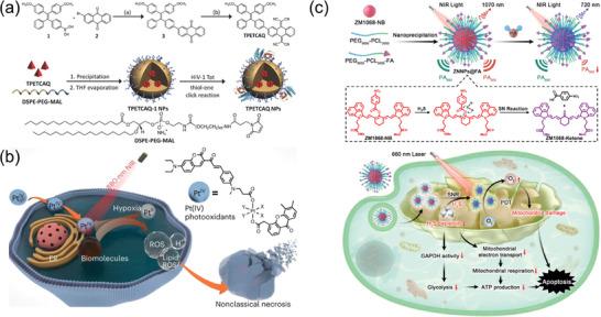 https://cdn.ncbi.nlm.nih.gov/pmc/blobs/7e68/11831458/2c4851daa40b/ADVS-12-2409157-g015.jpg