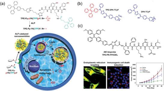 https://cdn.ncbi.nlm.nih.gov/pmc/blobs/7e68/11831458/7f74ebe8ac51/ADVS-12-2409157-g005.jpg