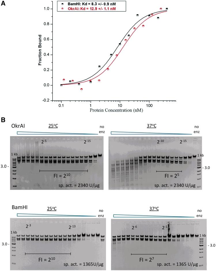 https://cdn.ncbi.nlm.nih.gov/pmc/blobs/7e68/3025578/654528785521/gkq779f4.jpg