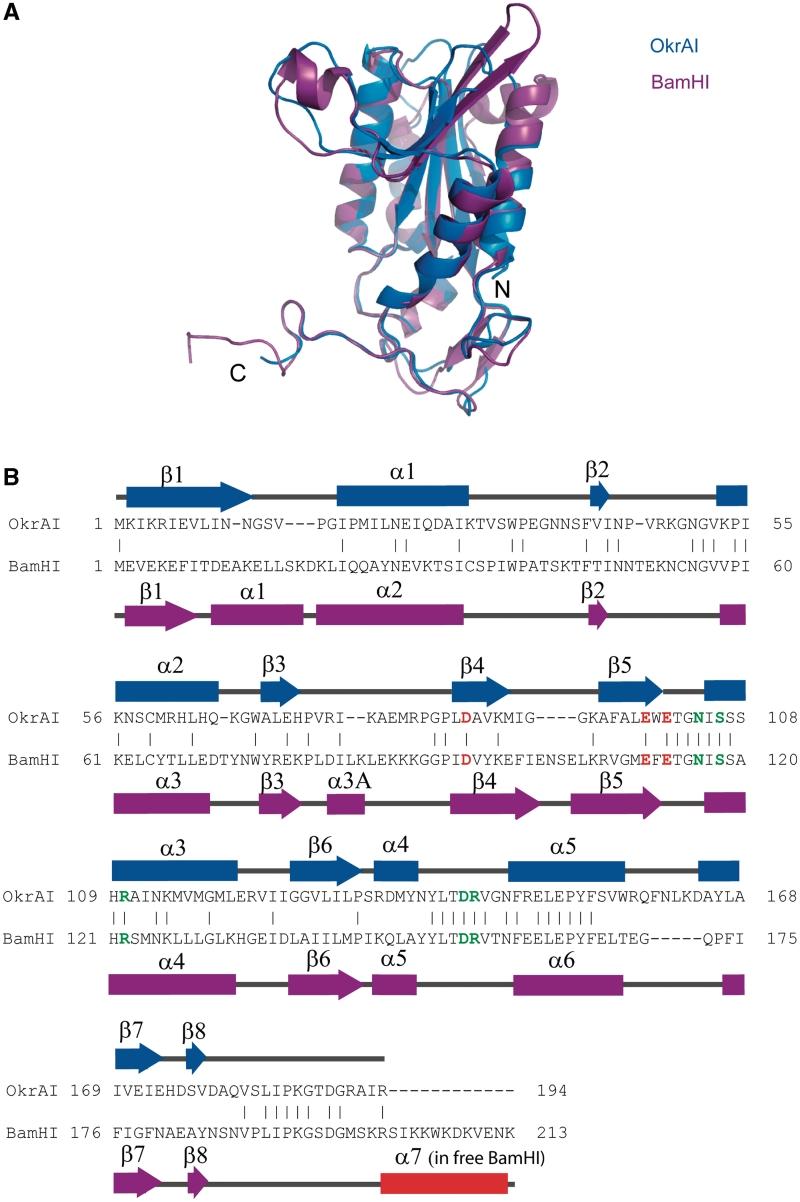 https://cdn.ncbi.nlm.nih.gov/pmc/blobs/7e68/3025578/8385ccb433ed/gkq779f2.jpg