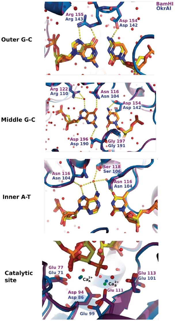https://cdn.ncbi.nlm.nih.gov/pmc/blobs/7e68/3025578/ed4ecf2433a9/gkq779f3.jpg