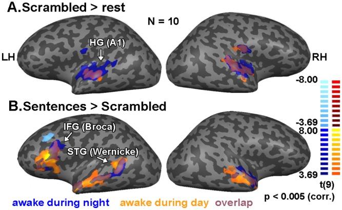 https://cdn.ncbi.nlm.nih.gov/pmc/blobs/7e69/4911044/272460dd6939/pone.0157143.g002.jpg