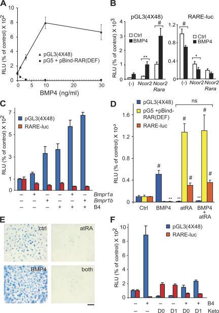 https://cdn.ncbi.nlm.nih.gov/pmc/blobs/7e6b/2064168/7dbecbcf04a6/jcb1740101f05.jpg