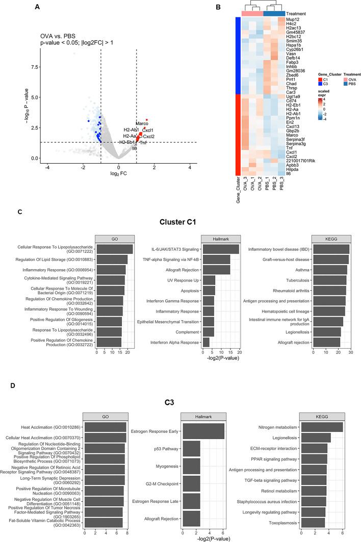 https://cdn.ncbi.nlm.nih.gov/pmc/blobs/7e6c/11706949/c30bde1818ae/41598_2025_85234_Fig3_HTML.jpg