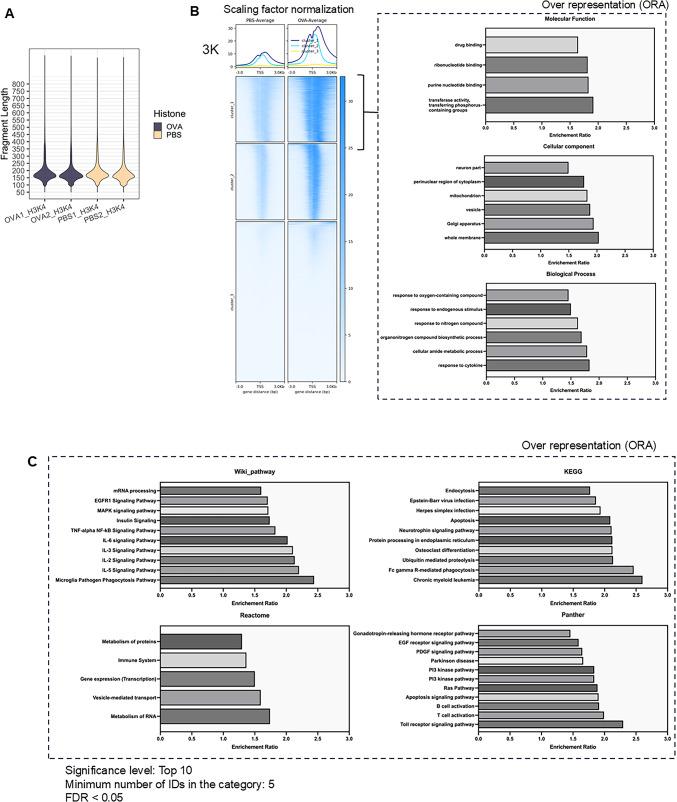 https://cdn.ncbi.nlm.nih.gov/pmc/blobs/7e6c/11706949/f0bdcb575606/41598_2025_85234_Fig5_HTML.jpg