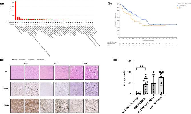 https://cdn.ncbi.nlm.nih.gov/pmc/blobs/7e71/11299298/bfecf432ca9b/40164_2024_540_Fig1_HTML.jpg