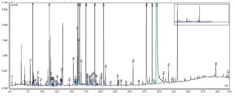 https://cdn.ncbi.nlm.nih.gov/pmc/blobs/7e73/10346185/60c6cf06d88a/plants-12-02510-g003.jpg