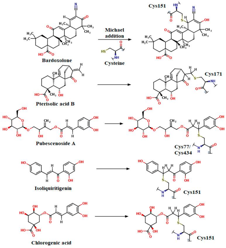 https://cdn.ncbi.nlm.nih.gov/pmc/blobs/7e73/10346185/70add4a3aba4/plants-12-02510-g014.jpg