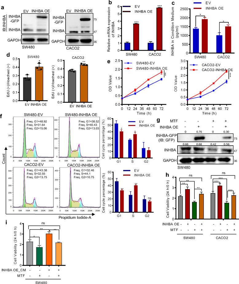 https://cdn.ncbi.nlm.nih.gov/pmc/blobs/7e74/8891354/618019282e5a/41419_2022_4649_Fig5_HTML.jpg