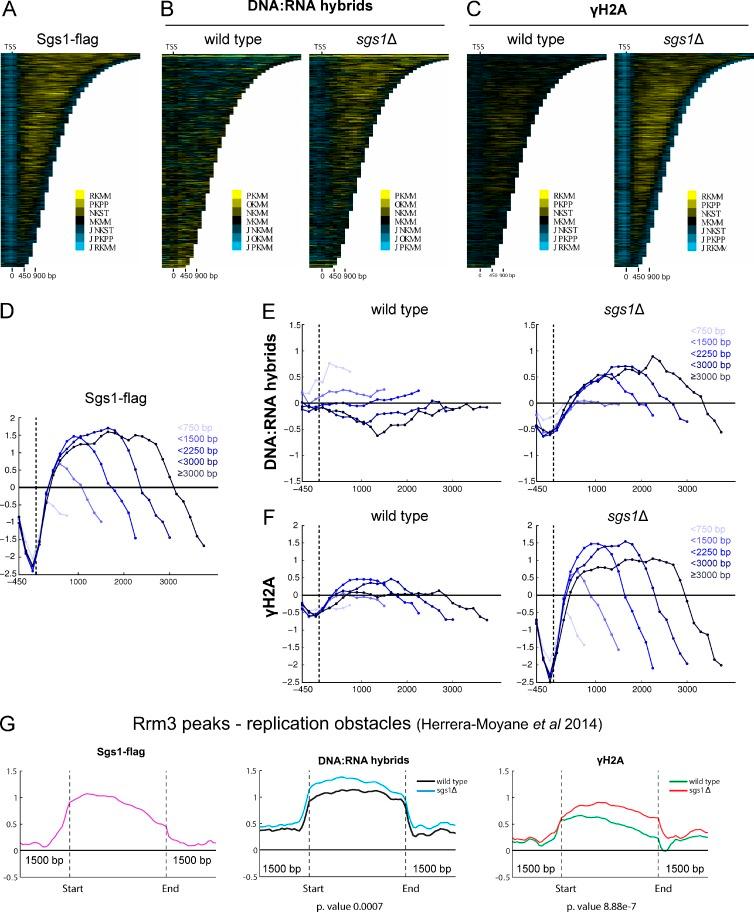 https://cdn.ncbi.nlm.nih.gov/pmc/blobs/7e75/5716281/29c9e44dc09b/JCB_201703168_Fig3.jpg