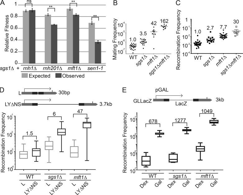 https://cdn.ncbi.nlm.nih.gov/pmc/blobs/7e75/5716281/bd9191cf72e4/JCB_201703168_Fig2.jpg