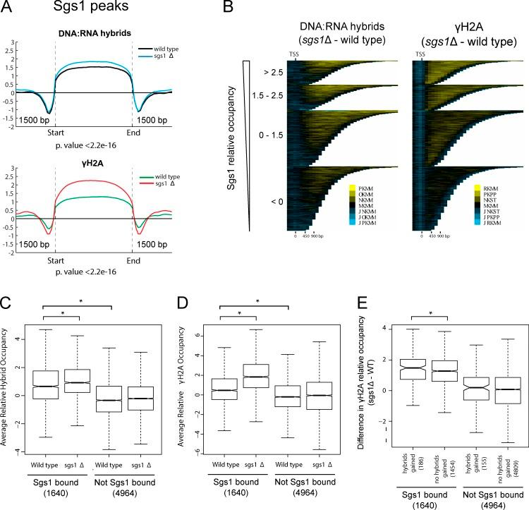 https://cdn.ncbi.nlm.nih.gov/pmc/blobs/7e75/5716281/bfa134f06cbf/JCB_201703168_Fig4.jpg