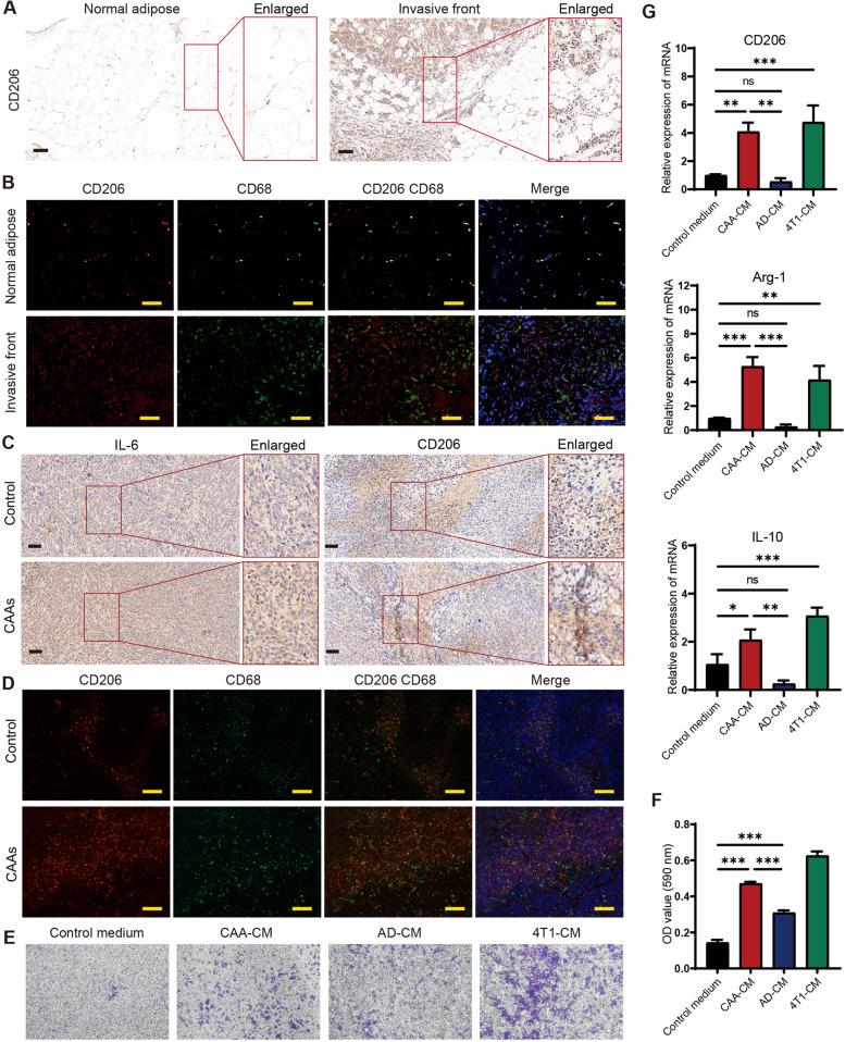 https://cdn.ncbi.nlm.nih.gov/pmc/blobs/7e76/10152707/700605c75397/12885_2023_10826_Fig4_HTML.jpg