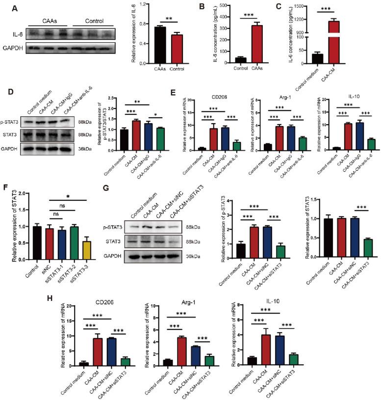 https://cdn.ncbi.nlm.nih.gov/pmc/blobs/7e76/10152707/99cc9a7c2b50/12885_2023_10826_Fig6_HTML.jpg