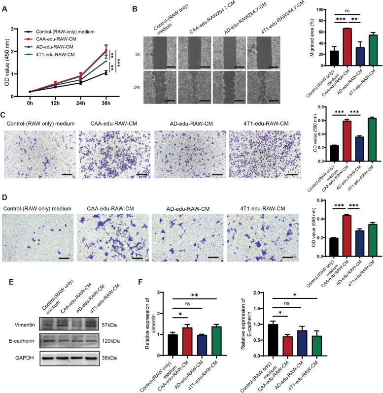 https://cdn.ncbi.nlm.nih.gov/pmc/blobs/7e76/10152707/9f003447fb57/12885_2023_10826_Fig5_HTML.jpg