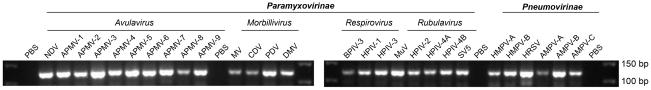 https://cdn.ncbi.nlm.nih.gov/pmc/blobs/7e77/3319594/ab9f3fa2bafd/pone.0034961.g002.jpg