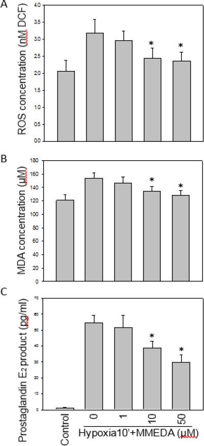 https://cdn.ncbi.nlm.nih.gov/pmc/blobs/7e77/5722992/4072089c4afd/IJBMS-20-1324-g004.jpg