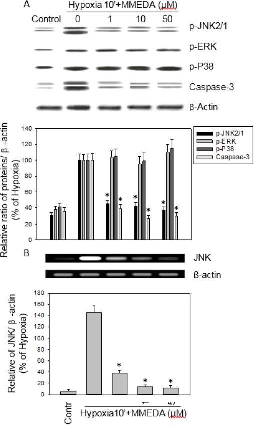 https://cdn.ncbi.nlm.nih.gov/pmc/blobs/7e77/5722992/623186a06eae/IJBMS-20-1324-g005.jpg