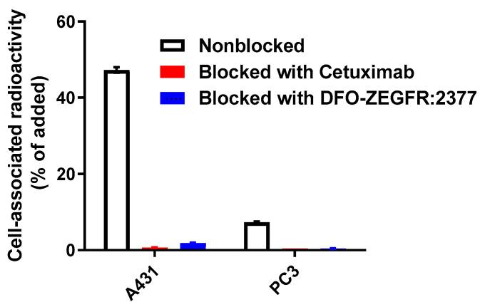 https://cdn.ncbi.nlm.nih.gov/pmc/blobs/7e78/7926986/a7fa752ca922/pharmaceutics-13-00292-g002.jpg