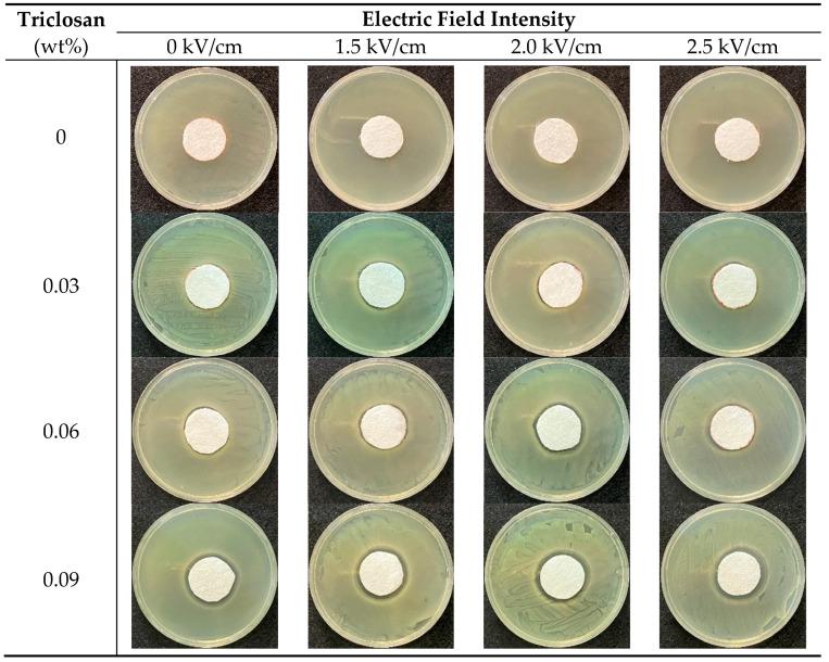 https://cdn.ncbi.nlm.nih.gov/pmc/blobs/7e79/8512406/6ab0f19bd198/polymers-13-03303-g003.jpg