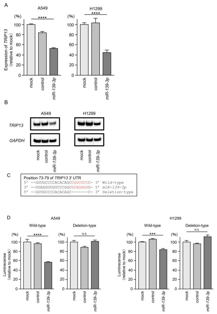 https://cdn.ncbi.nlm.nih.gov/pmc/blobs/7e7a/10705761/58fb1b991743/cancers-15-05571-g006.jpg