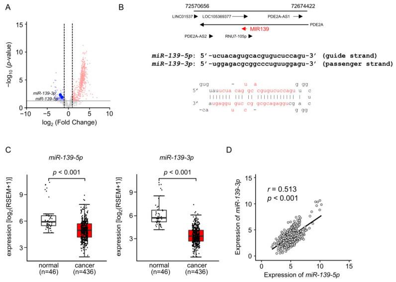 https://cdn.ncbi.nlm.nih.gov/pmc/blobs/7e7a/10705761/931cc706da98/cancers-15-05571-g001.jpg