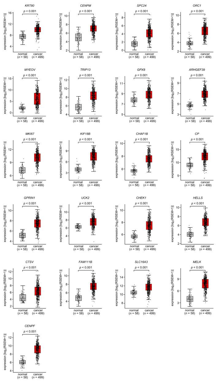 https://cdn.ncbi.nlm.nih.gov/pmc/blobs/7e7a/10705761/eae8a0e492fb/cancers-15-05571-g004.jpg