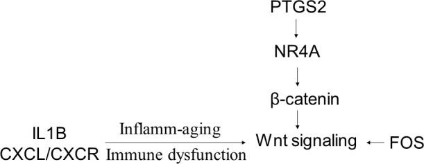 https://cdn.ncbi.nlm.nih.gov/pmc/blobs/7e7b/7803563/e0ec41d64a2e/aging-12-202435-g001.jpg