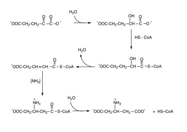 https://cdn.ncbi.nlm.nih.gov/pmc/blobs/7e7e/1224877/2f7c89e87c03/1746-1448-1-5-7.jpg