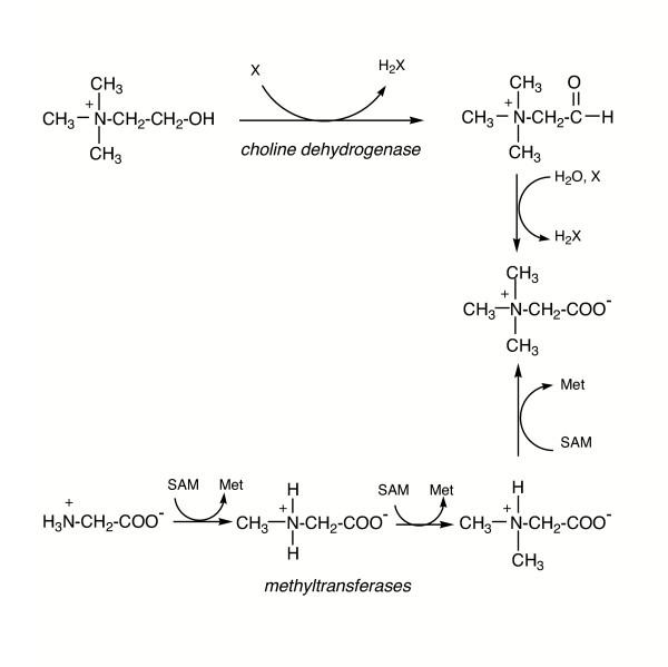 https://cdn.ncbi.nlm.nih.gov/pmc/blobs/7e7e/1224877/3372805187b0/1746-1448-1-5-5.jpg