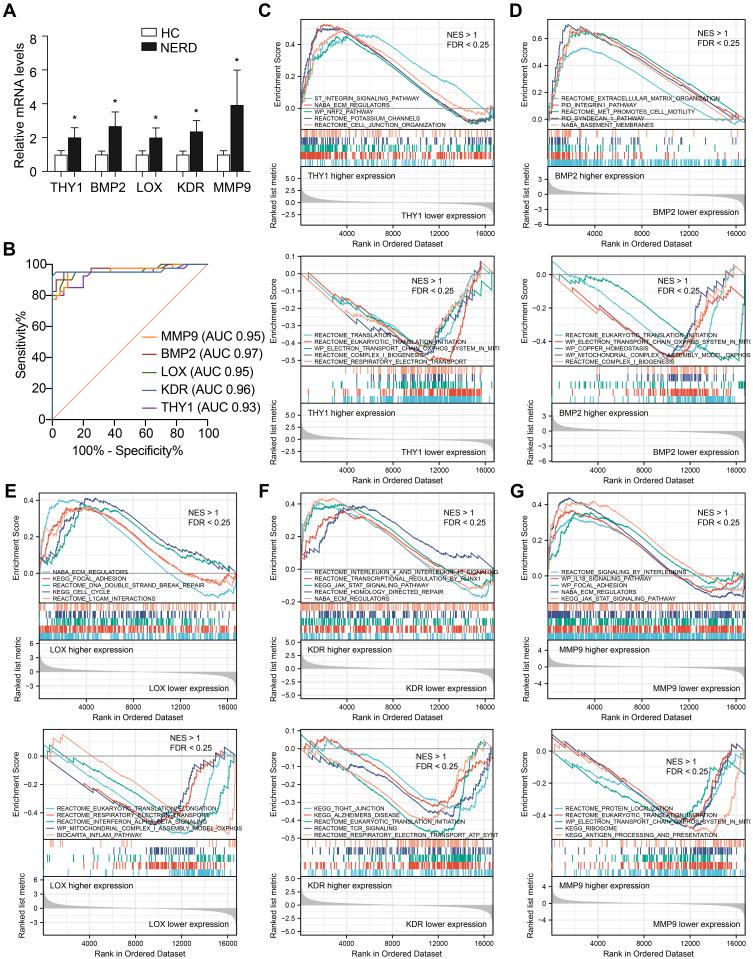 https://cdn.ncbi.nlm.nih.gov/pmc/blobs/7e7e/8627320/9fb87383de10/JIR-14-6143-g0006.jpg