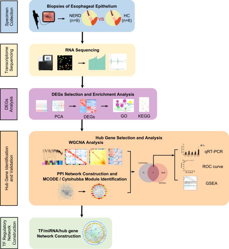 https://cdn.ncbi.nlm.nih.gov/pmc/blobs/7e7e/8627320/db455fd6fdc9/JIR-14-6143-g0001.jpg