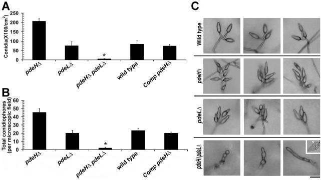 https://cdn.ncbi.nlm.nih.gov/pmc/blobs/7e80/2865543/e24df0246584/ppat.1000897.g002.jpg