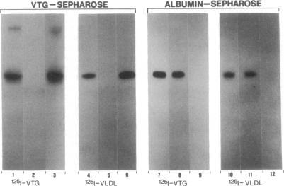 https://cdn.ncbi.nlm.nih.gov/pmc/blobs/7e86/53603/ebfc9ac15e5f/pnas01030-0338-a.jpg