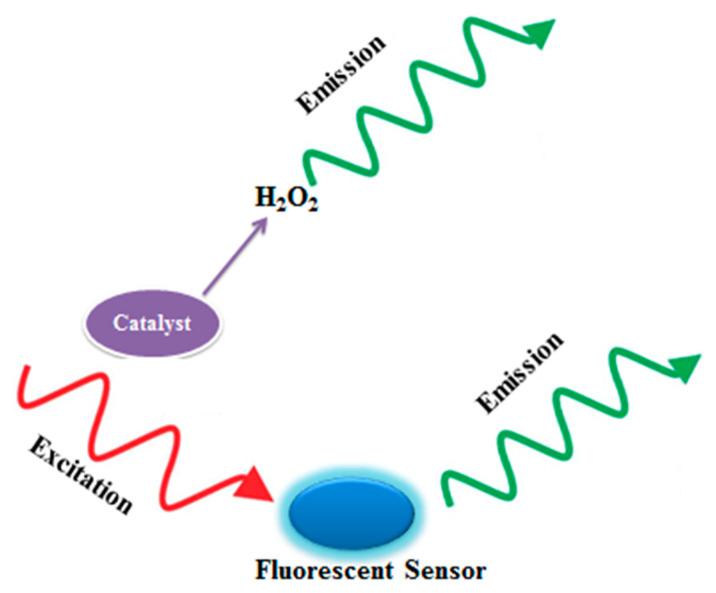 https://cdn.ncbi.nlm.nih.gov/pmc/blobs/7e88/9103167/0c60eba8ea73/nanomaterials-12-01475-g002.jpg
